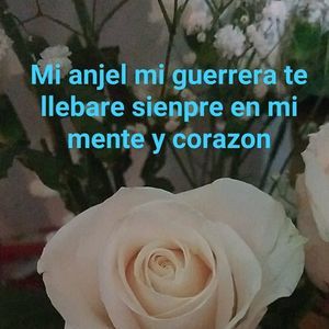 Meet your Posher, Olinda